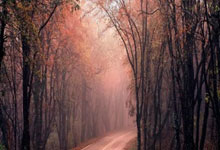 开云体育：中国队收获射箭男子W1双人团体公开级金牌央视网.