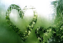 波耶特：三笘薰的实力足以为曼联效力，我非常喜欢看他踢球.