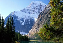 中国足协上线球员自荐系统.